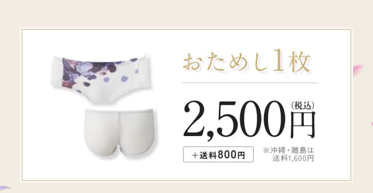 ノンジー「シームレスショーツ」おためし1枚