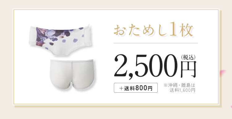 ノンジー「シームレスショーツ」おためし1枚